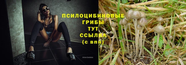 дмт Михайловка