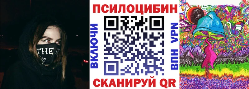 Купить где  Менделеевск  Галлюциногенные грибы Cubensis 